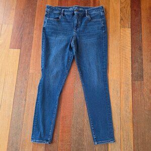 American Eagle Outfitters Dark Wash Denim Jegging Jeans Size 14